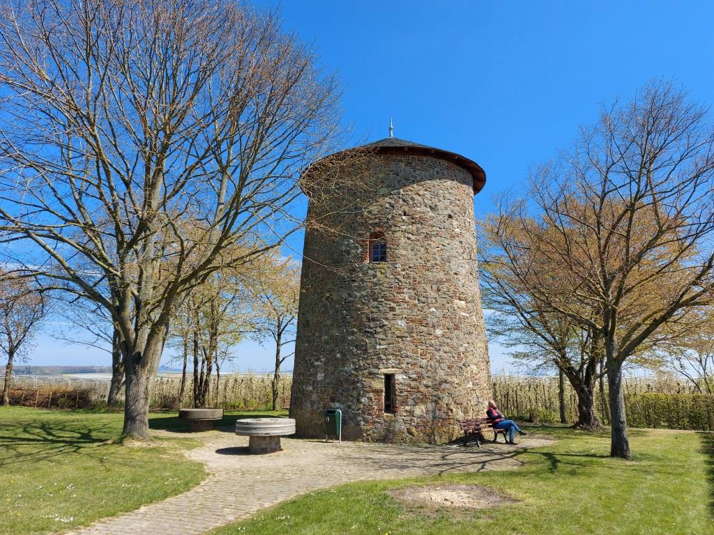 Fritzdorfer Windmühle - 2021